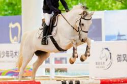 开云体育平台APP-卢森堡马术选手优雅驰骋，斩获银牌