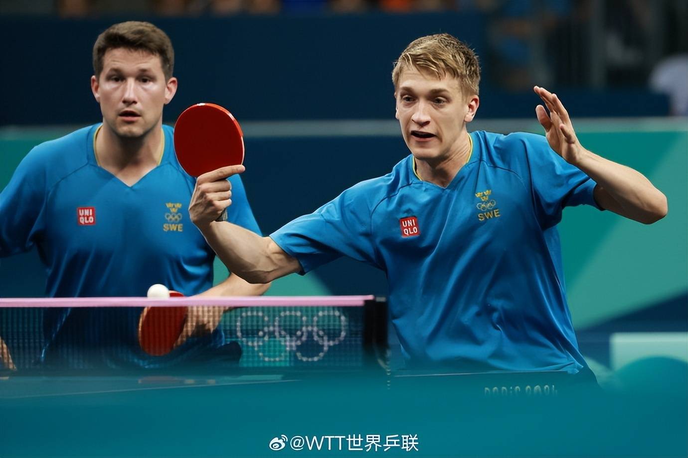 关于瑞典乒乓球队强势法国乒乓球队，波尔惊艳世界的信息
